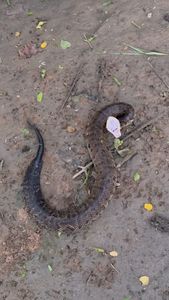 Instagram post by @roadtripmonster