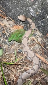 Instagram post by @roadtripmonster