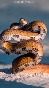 Instagram post by @roadtripmonster