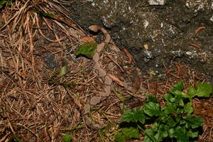 Instagram post by @roadtripmonster