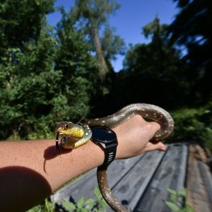 Instagram post by @roadtripmonster