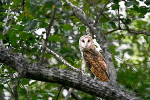 Instagram post by @roadtripmonster