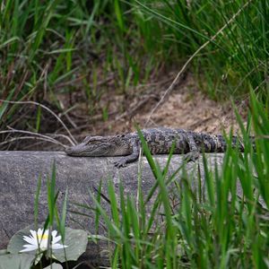 Instagram post by @roadtripmonster