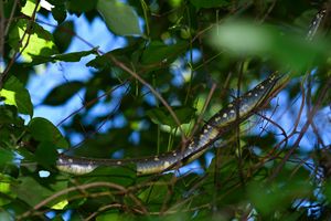 Instagram post by @roadtripmonster