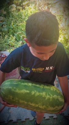 Instagram post by @jcllamasmma