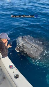 Instagram post by @dolphindronedom