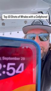 Instagram post by @dolphindronedom