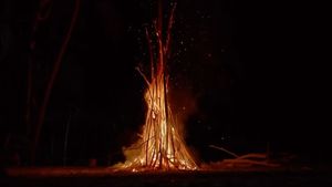 Instagram post by @gimbalgod