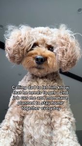 Instagram post by @kingsleythedoood