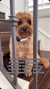 Instagram post by @kingsleythedoood