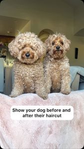 Instagram post by @kingsleythedoood