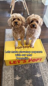 Instagram post by @kingsleythedoood