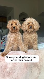 Instagram post by @kingsleythedoood