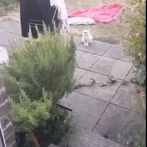 Instagram post by @goodvibesdr0