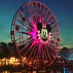 @aedisneyadventuress Instagram Profile