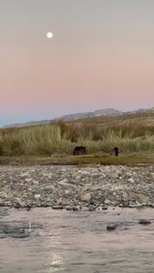 Instagram post by @organicescapades