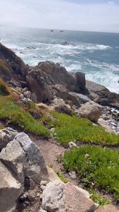 Instagram post by @organicescapades