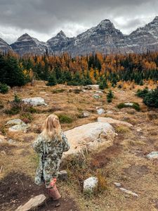 Instagram post by @hitched_and_halling