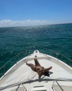 Instagram post by @tropicana_jay