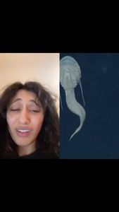 Instagram post by @lilfangzzz