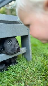 Instagram post by @fumagalli_fitplate