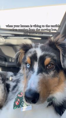 Instagram post by @jet2swift