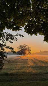 Instagram post by @melissamale