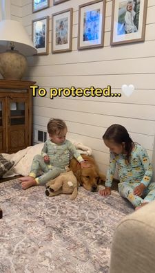 Instagram post by @sadiepawsdaily