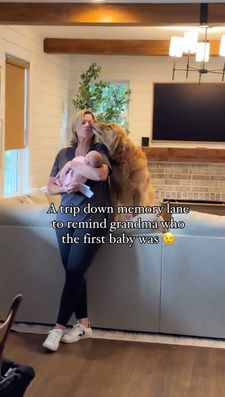 Instagram post by @sadiepawsdaily