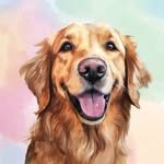 @sadiepawsdaily Instagram Profile