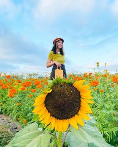 Instagram post by @the.alexandrialee