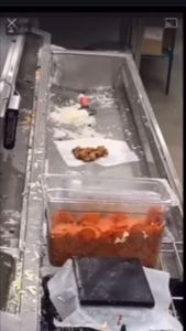 Instagram post by @rhodayoungtv