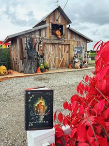 Instagram post by @welovebigbooksandwecannotlie