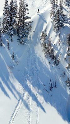 Instagram post by @bradholmescinema