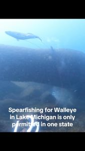 Instagram post by @purelymispearfishing