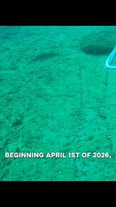 Instagram post by @purelymispearfishing