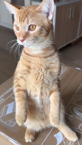 Instagram post by @zeynepcelikk1915