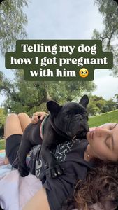 Instagram post by @oatiemeal