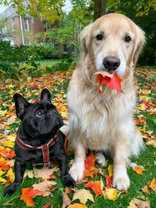 Instagram post by @oatiemeal