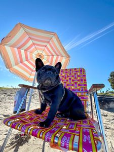 Instagram post by @oatiemeal