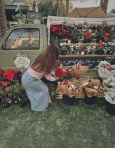 Instagram post by @briannatraynor