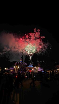 Instagram post by @kickitwiththekarlins