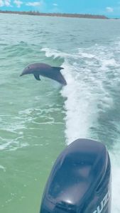 Instagram post by @eileen.my.therapist