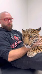 Instagram post by @dr.spencermills