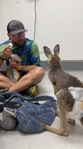 Instagram post by @dr.spencermills