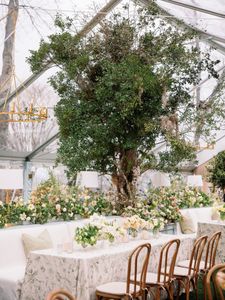 Instagram post by @courtneylindenphotography