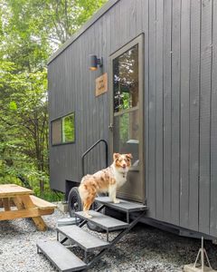 Instagram post by @samoalaska_aussies