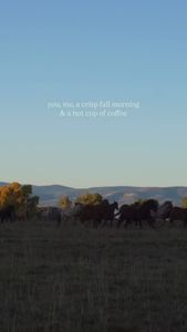 Instagram post by @shelbyrichards0n