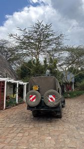 Instagram post by @bobbieray