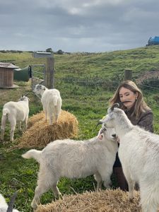 Instagram post by @estiekessler